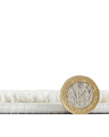 Think Rugs Flores Botanical Rug