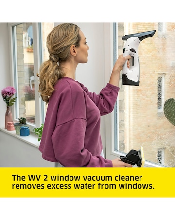Karcher WV2 Window Vacuum Cleaner