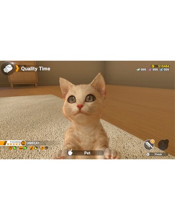 Little Friends: Dogs & Cats (Nintendo Switch)