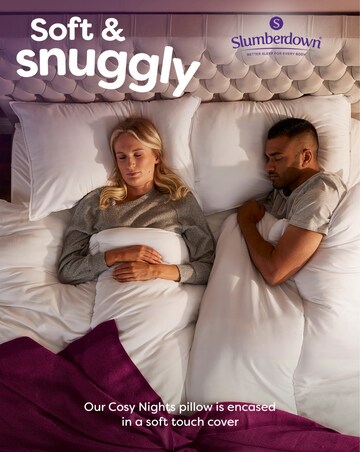 Slumberdown Cosy Nights Pack of 2 Back Sleeper Pillows