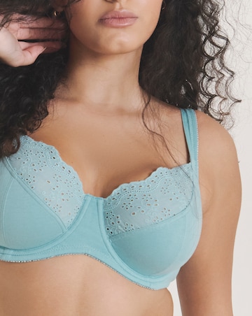 Pretty Secrets (2 Pack) New Jane Cotton Wired Full Cup Bras (D-K) Pink/Blue