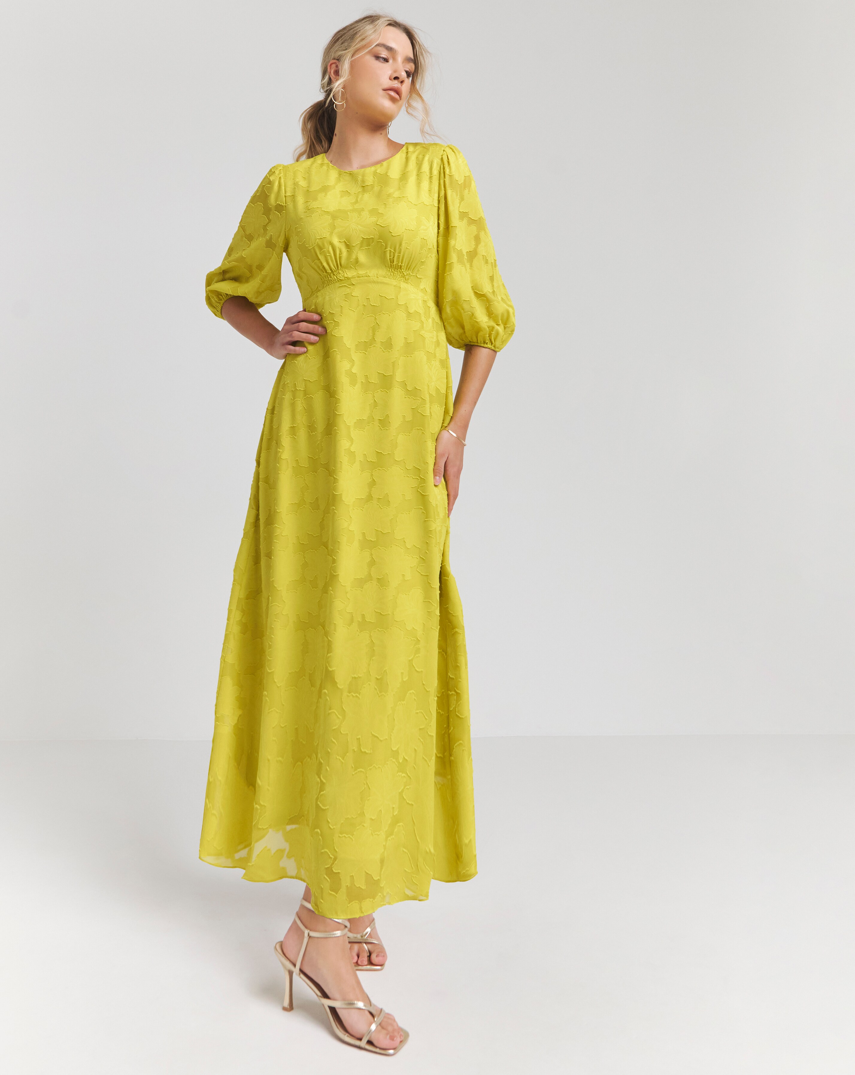 Joanna Hope Burnout Maxi Dresss