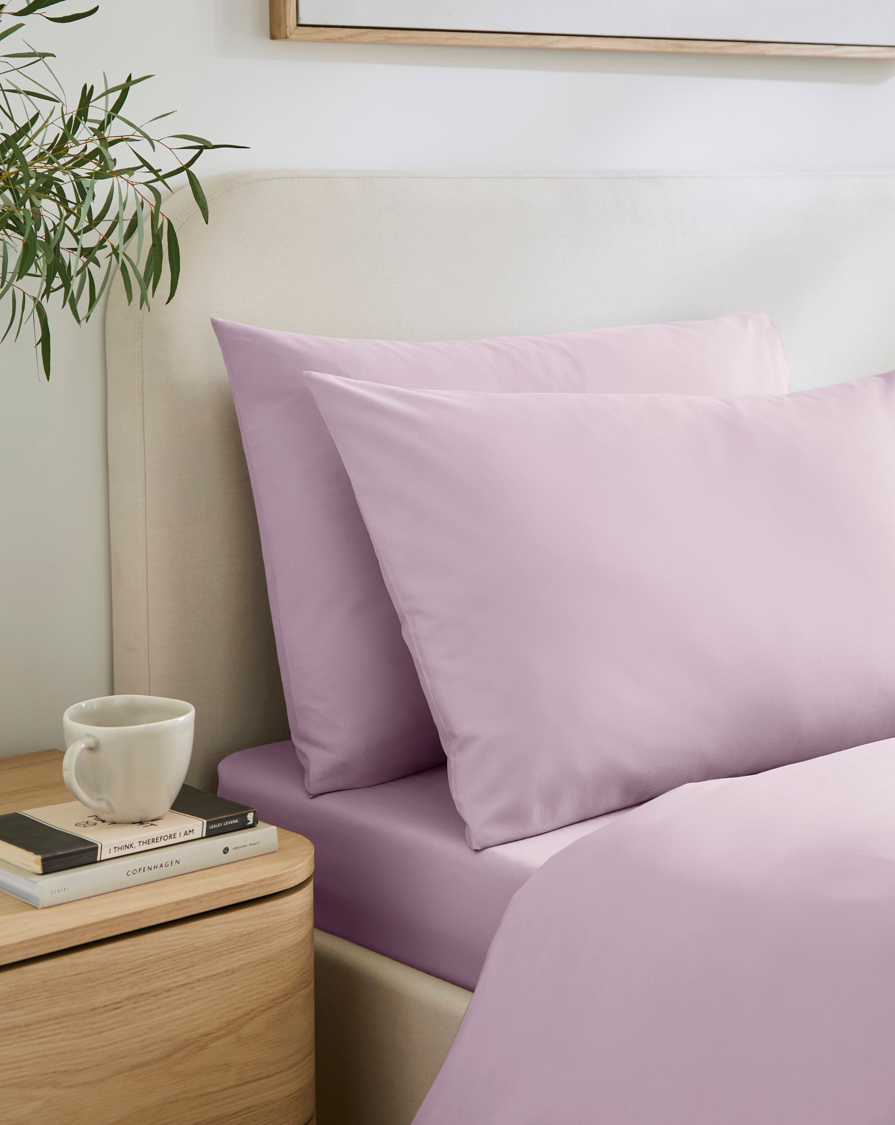 Non Iron Plain Dye Housewife Pillowcase Pair