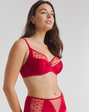 Pretty Secrets (2 Pack) Hannah Heart Full Brief Knickers Red/Black