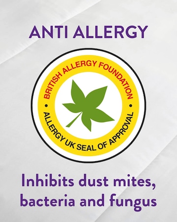 Slumberdown Anti-Allergy Mattress Protector