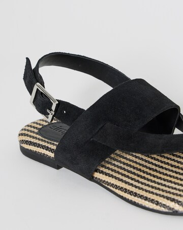 Catalina Suede Toe Post Sandals - Wide Fit (E)