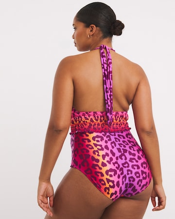 Plunge Shirred Swimsuit Animal Print