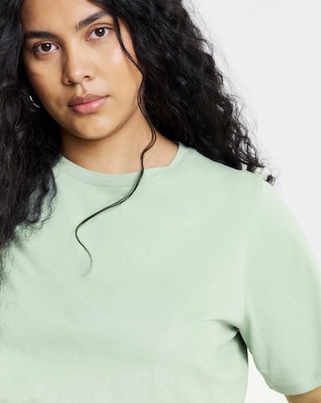 Ecru, Blue, Sage, Chocolate & Black Slim Fit Crew Neck T-Shirts