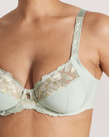 Fantasie Magdalena Full Cup Wired Bra Vintage Green