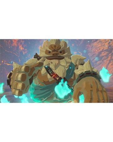 Legend of Zelda: Breath Wild (Nintendo Switch)