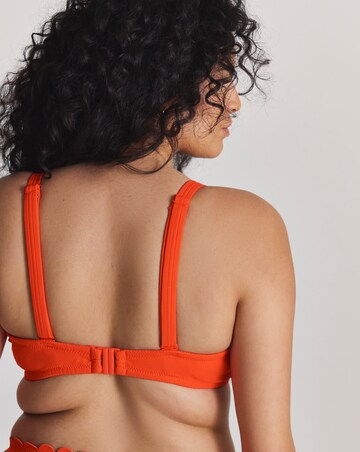 MAGISCULPT Underwired Scallop Edge Bandeau Bikini Top