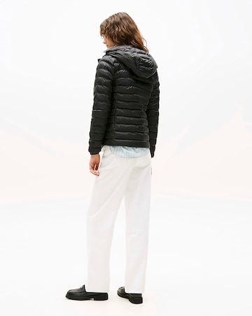 Tommy Hilfiger Lightweight Padded Jacket