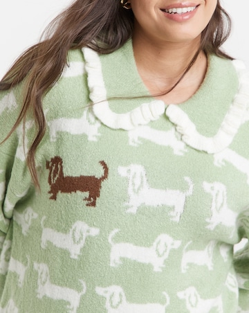 Neon Rose Frill Sausage Dog Jumper