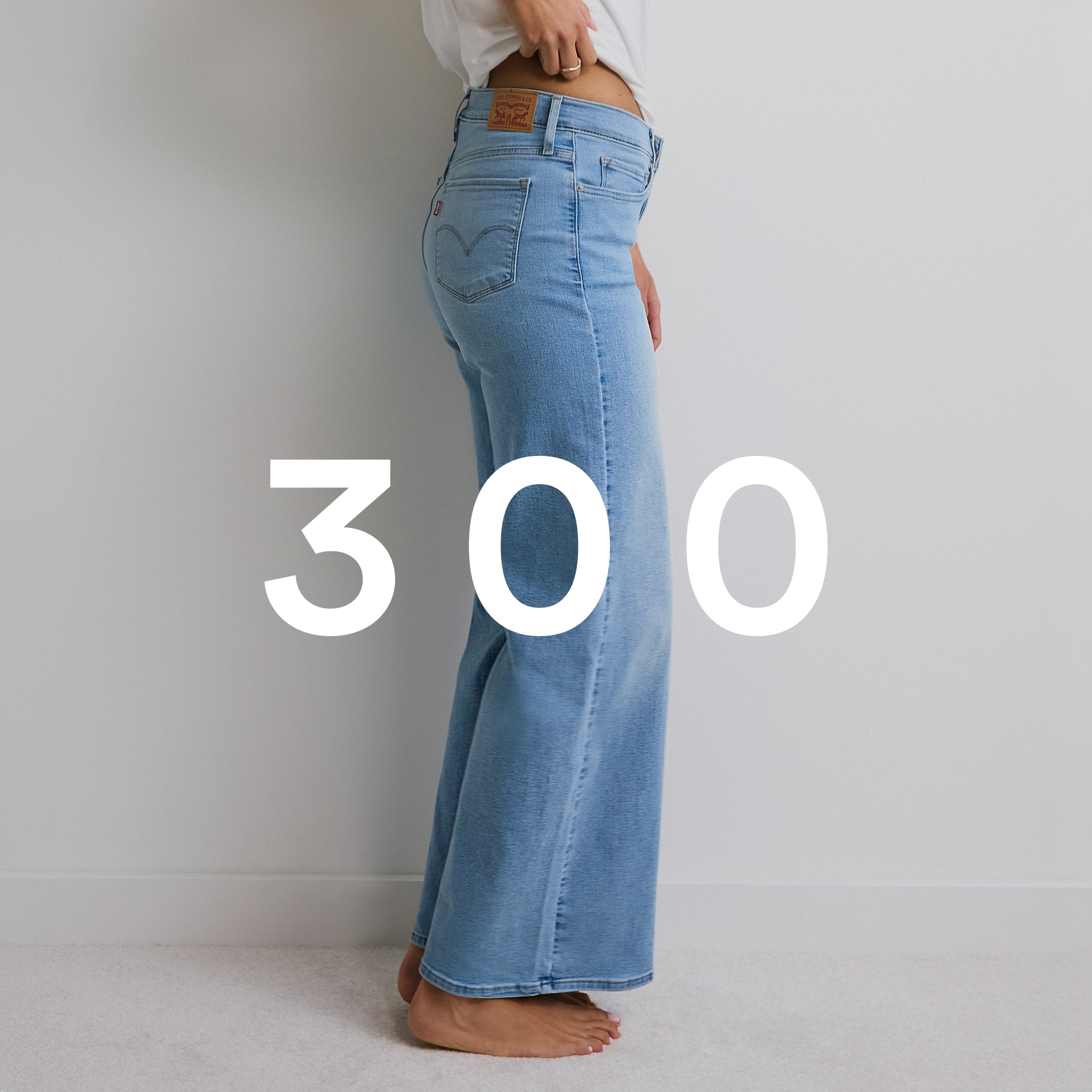 Levi's 300 Series