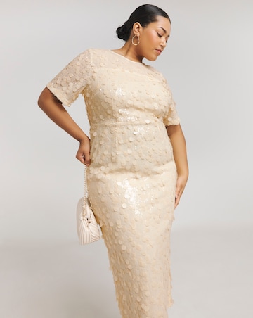 Joanna Hope Sequin Column Dress