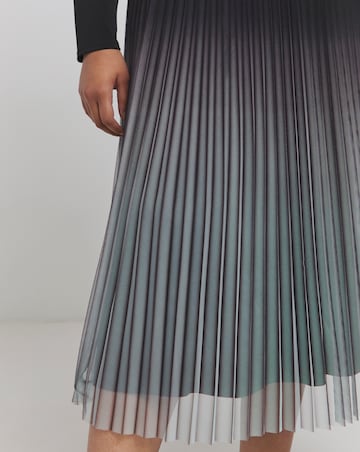 Joanna Hope Mesh Pleated Skirt