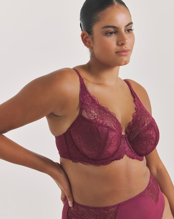 Pretty Secrets (2 Pack) New Ella Full Brief Knickers Fig/Cherry