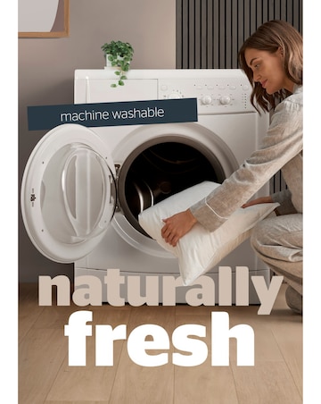 Silentnight Naturals Collection Goose Feather Pillow