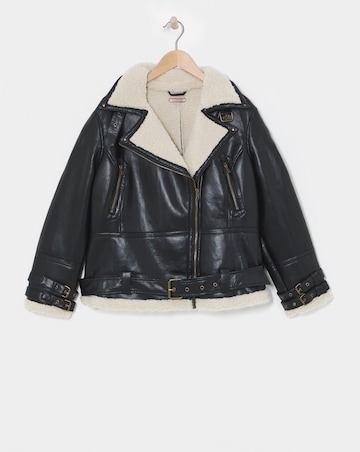 Joe Browns Must Have Aviator