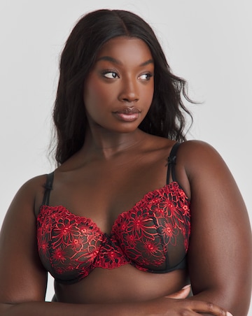 2 Pack Emily Everyday Embroidery Bras B-F