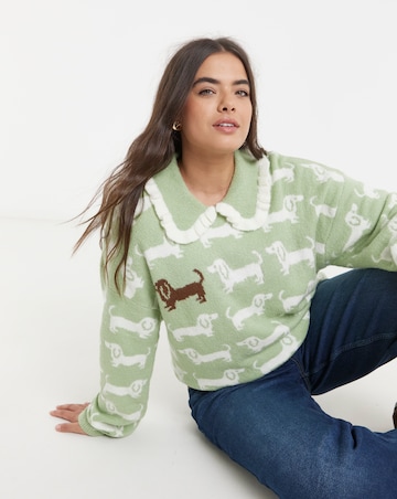 Neon Rose Frill Sausage Dog Jumper