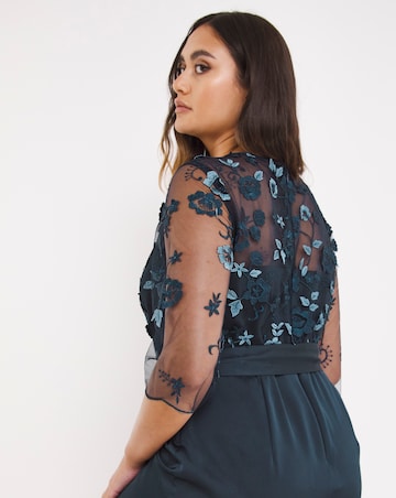 Joanna Hope Navy Embroidered Mesh Dress