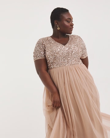Maya Curve V-Neck Sequin Embellished Tulle Maxi Dress