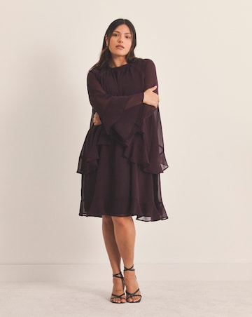 Plum Georgette Frill Skater Dress
