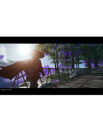 Ghost of Tsushima Director's Cut (PS5)