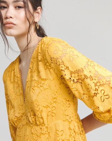 Joanna Hope Stretch Lace Dress