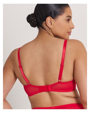 Pretty Secrets Ivy Lace Full Cup Wired Basic Bra (B-G) Red