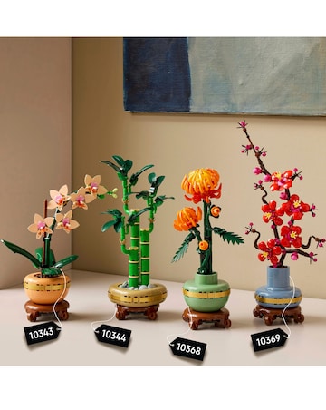 LEGO Botanicals Lucky Bamboo Indoor Plant Decor, Gift for Nature Lovers 10344