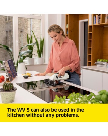 Karcher WV5 Plus Window Vacuum Cleaner