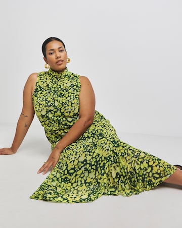 Joanna Hope High Neck Print Midi Dress