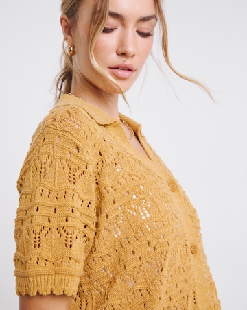 Ochre Pointelle Collared Knit Top