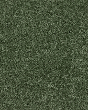 Buddy Washable & Stain Resistant Rug