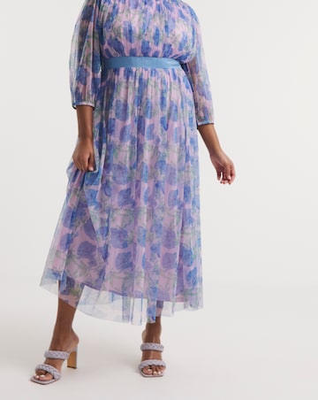 Joanna Hope Mesh Maxi Dress