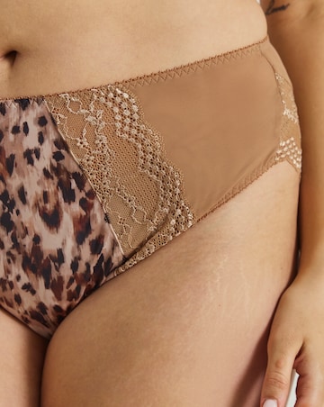 Elomi Lucie High Leg Knicker Wildcat