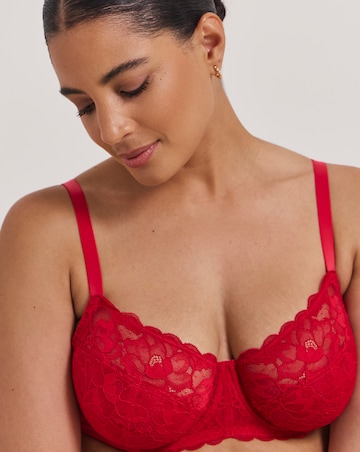 Pretty Secrets Ivy Lace Full Cup Wired Basic Bra (B-G) Red