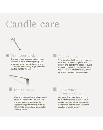 Yankee Candle Signature Large Bayside Cedar