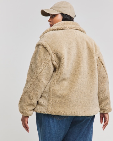 Biscuit Teddy Biker