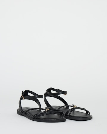 Toni Strappy Hardware Detail Flat Sandals - Extra Wide Fit (EEE)