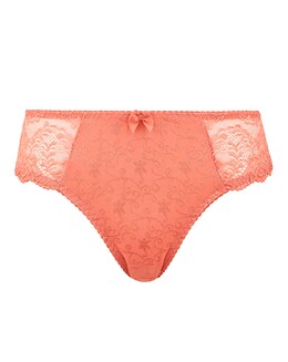 Dorina Curves Phillipa Classic Brief