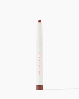Project Lip Plump and Fill Lip Liner Crave