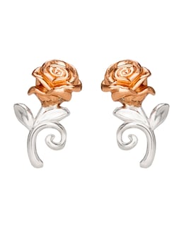 Beauty &amp; The Beast Earrings