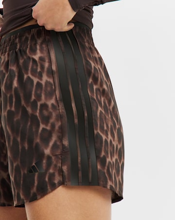 adidas 3 Stripes Leopard Print Shorts