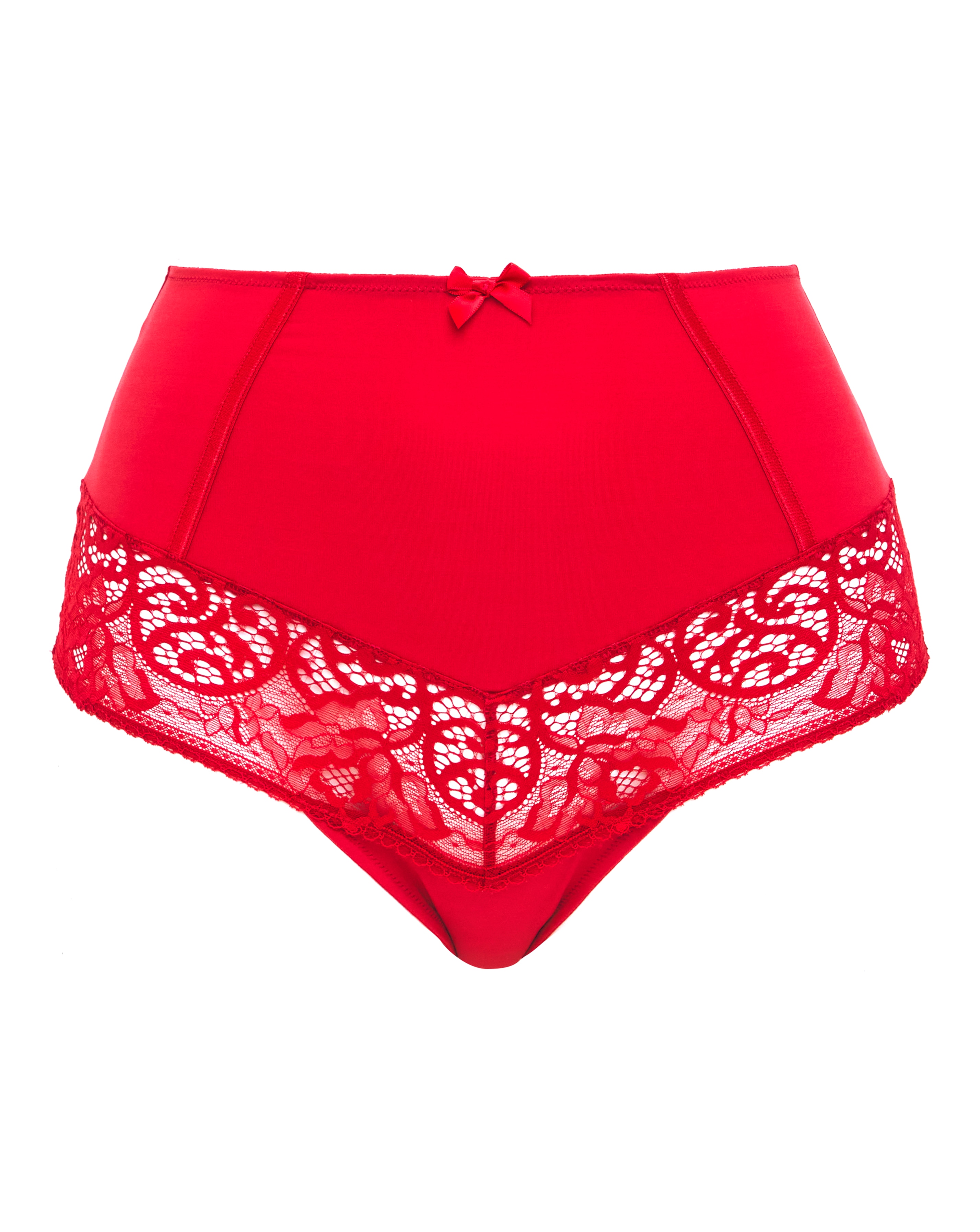 Sculptresse Estel High Waist Briefs Rasp