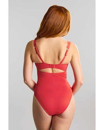 Panache Swim Spirit Red Rita Plunge Swimsuit