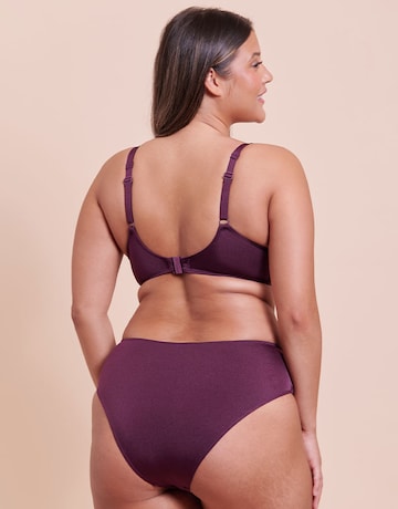 Curvy Kate Beach Bliss High Leg Bikini Brief