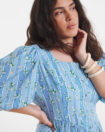 Blue Stripe And Floral Historic Detail Midi Dress